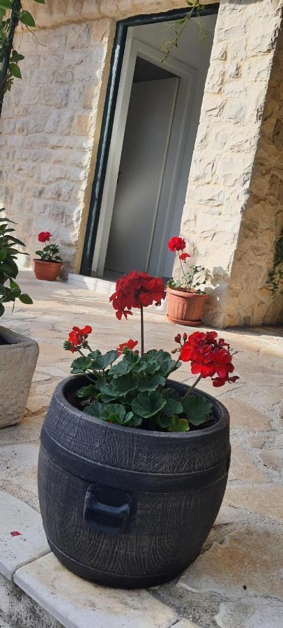 ביבינייה Holiday Home Jakov מראה חיצוני תמונה